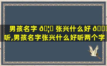 男孩名字 🦅 张兴什么好 🕊 听,男孩名字张兴什么好听两个字